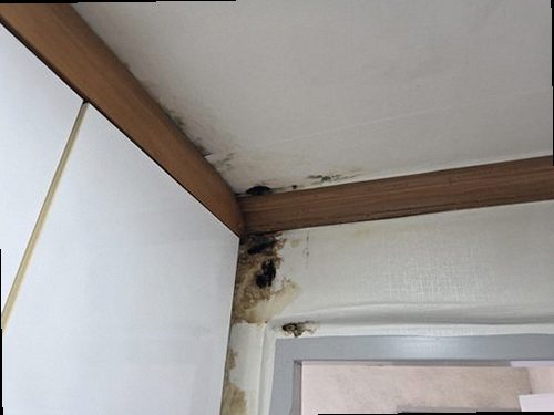 김포 누수탐지 구래동 누수탐지 안방누수 천장 얼룩이 알려준 원인