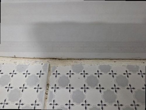 만안구 재점검 기록 만안구 재점검 기록