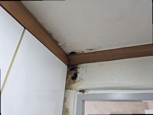 금천구 누수탐지 안방 천장에 번진 누수 흔적과 수분 측정 과정