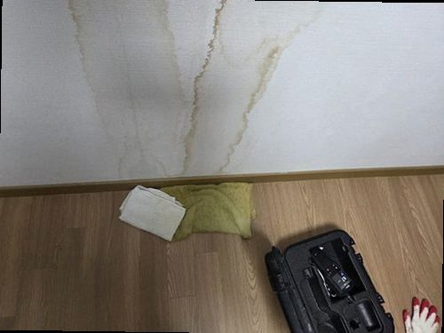 동탄구 누수탐지 누수 피해 부위와 수도계량기를 확인하는 현장 점검 모습