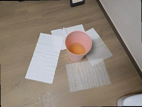 포천 누수탐지 배관 공압 검사와 청음 탐지를 비교하는 누수 점검 과정