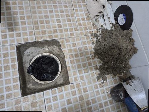 송파구 함께 확인 송파구 함께 확인