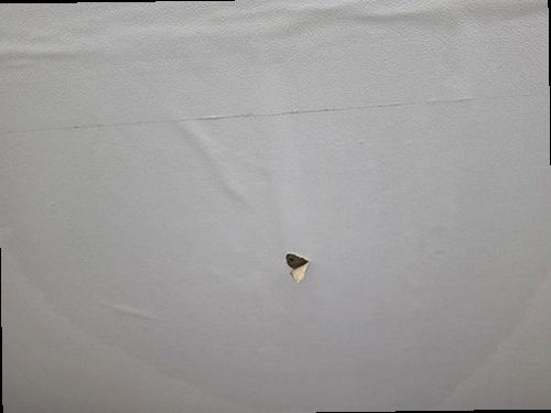 서해구·검단구 누수탐지 공압 게이지와 가스탐지기를 이용한 배관 검사