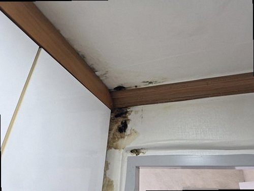 평택 누수탐지 열화상 카메라와 수분측정기를 활용한 점검 과정