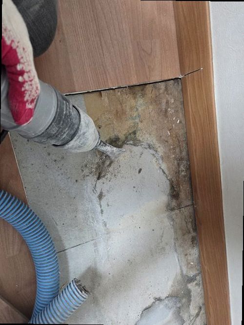 영통구 누수탐지 천장 얼룩과 벽면 습기를 확인하는 누수 점검 현장