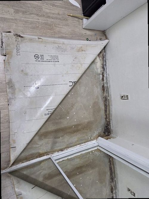 해운대구 누수탐지 좌4동 누수탐지 베란다누수원인 늦기 전에 확인하는 누수 기준