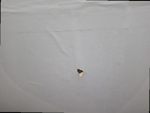 중원구 누수탐지 수도계량기 별침과 욕실 천장 누수 흔적을 확인하는 현장