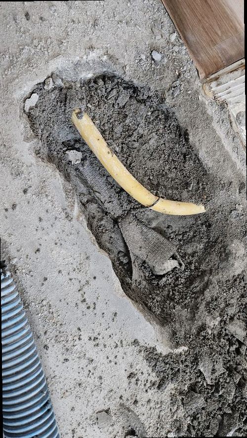 세종시 현장 확인