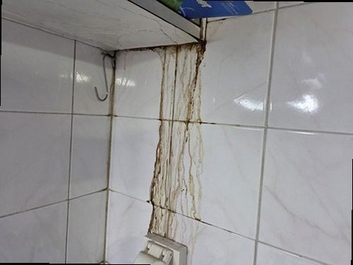 대덕구 누수탐지 오피스텔 누수 피해 현장 복원