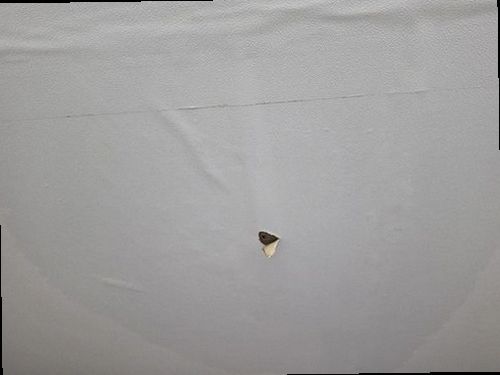 서울 중구 누수탐지 배관 압력계와 열화상 카메라를 이용한 점검 장면