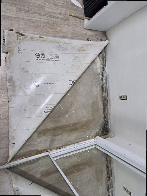 남동구 누수탐지 천장 물자국과 벽면 백화현상을 확인하는 누수 점검 현장