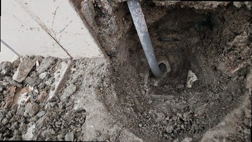 유성구 함께 확인 유성구 함께 확인